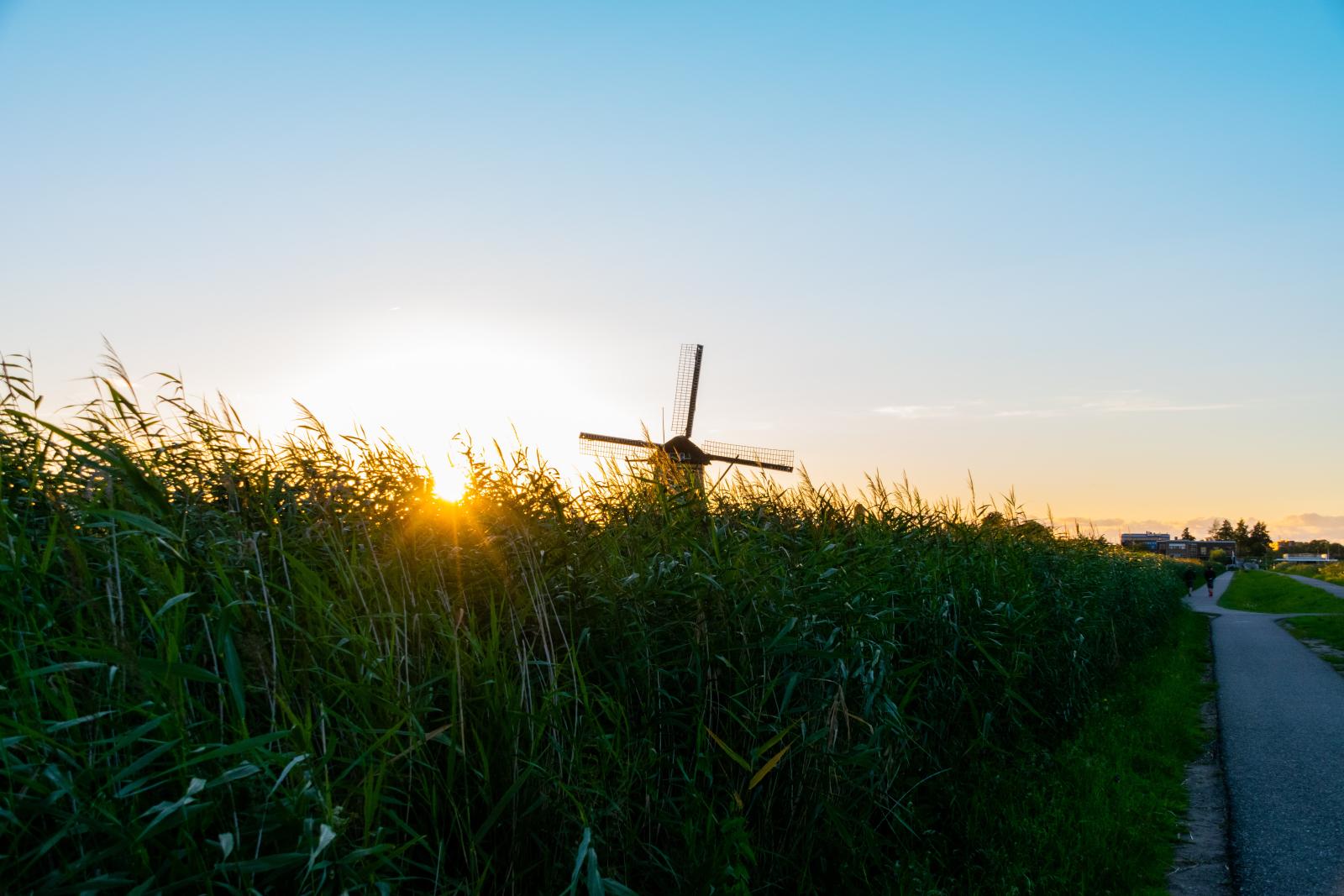 De vraag die we met deze werkvorm onderzoeken is altijd systemisch van aard en heeft te maken met de onderstroom van de systemen